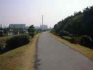 ���̒���