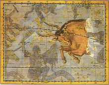 �{�[�f���}