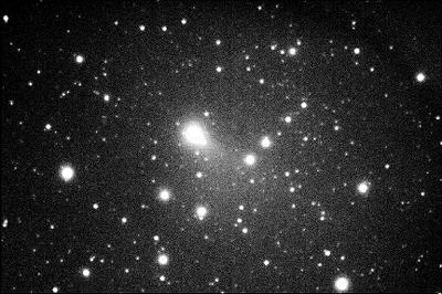 �V���R��