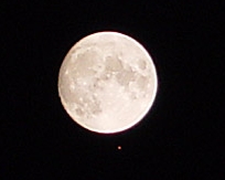 �{������