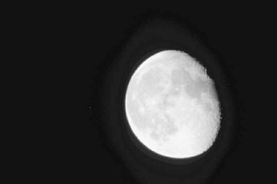 ���O���X�H