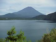 �ܐ�~�D�̕��i��