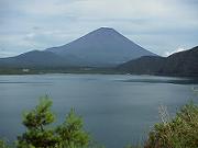 �ܐ�~�D�̕��i�E