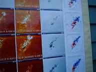 �t���A�ʐ^