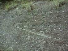 �N���X���~�i