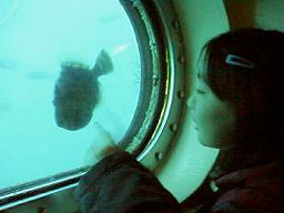 ����ƃJ���n�M