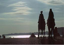 ���̒���