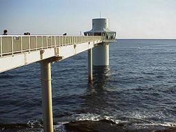 �C���W�]��