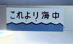 ������C��