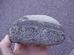 ���E���̐�