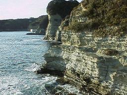 �^�[�r�_�C�g