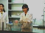 青少年科学館