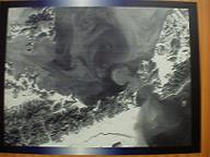 衛星うずしお