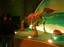 �f�X���X�`���X