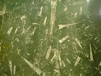 �x�����i�C�g