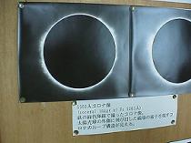 コロナ