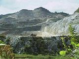 金生山