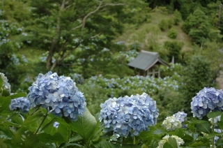 のぼる