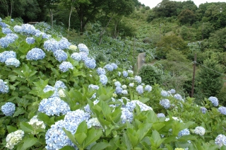 斜面