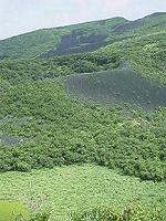 新澪池