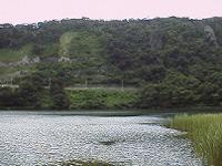 大路池