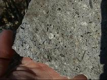 �f�C�T�C�g