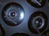 �V���b�^�[