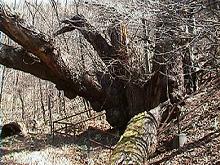 �����̏�