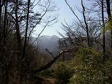 �����̏�