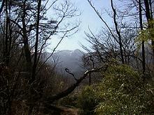 �����̏�