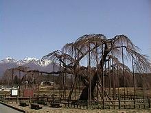 �_�c�I�I�C�g�U�N��