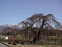 �_�c�I�I�C�g�U�N��