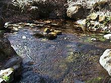 �O����N��