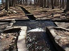 �O����N��