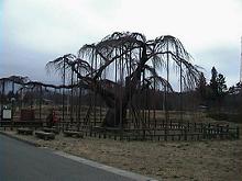 �_�c�I�I�C�g�U�N��