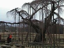 �_�c�I�I�C�g�U�N��