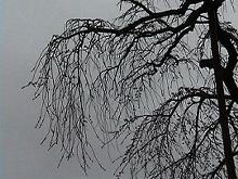 �_�c�I�I�C�g�U�N��