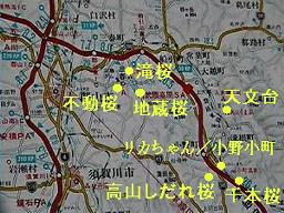 コース