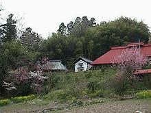 三春