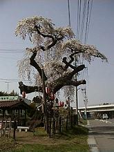 高山