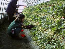 �Ƃ�������