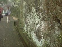 �ÊD�p�I��