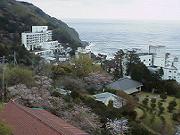 �z�e���̑�����