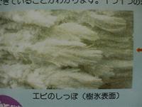 �G�r�̂�����